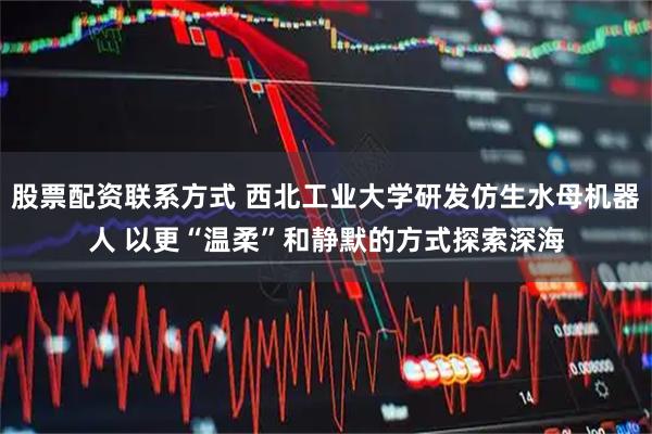 股票配资联系方式 西北工业大学研发仿生水母机器人 以更“温柔”和静默的方式探索深海