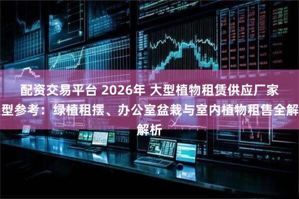 配资交易平台 2026年 大型植物租赁供应厂家选型参考：绿植租摆、办公室盆栽与室内植物租售全解析