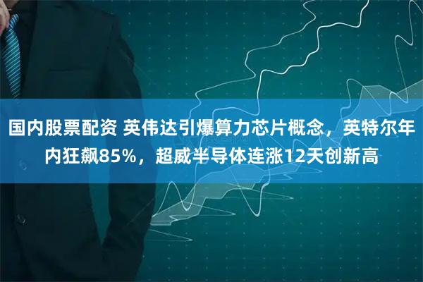 国内股票配资 英伟达引爆算力芯片概念，英特尔年内狂飙85%，超威半导体连涨12天创新高